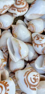 White seashells with spiritual designs on a calming background.