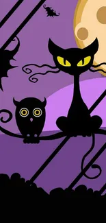 Spooky black cat and owl in purple night scene.