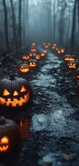 Misty forest path with glowing jack-o'-lanterns.