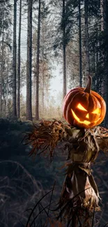 Halloween forest wallpaper with a pumpkin-headed scarecrow glowing in the dark.