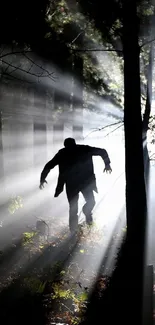 Silhouette in sunlit forest casting shadows.