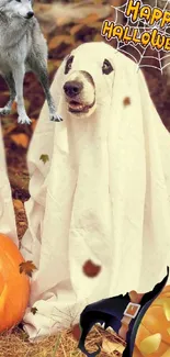 Dogs dressed as ghosts with pumpkins for Halloween.