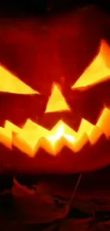 Glowing spooky jack-o'-lantern pumpkin in dark setting.