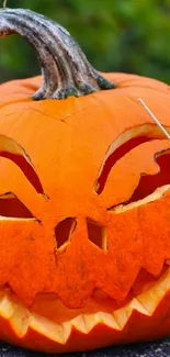 Carved Jack-O'-Lantern with spooky face on orange pumpkin.