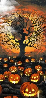 Halloween wallpaper with glowing pumpkins under a shadowy tree.