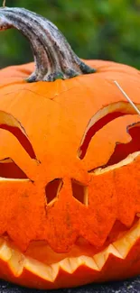 Spooky carved jack-o'-lantern on a forest background.