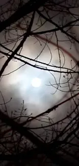 Spooky night sky wallpaper with silhouetted branches and a full moon.