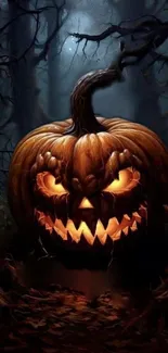 Eerie jack-o'-lantern in a dark forest.