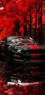 Black sports car in a vibrant red autumn forest setting.