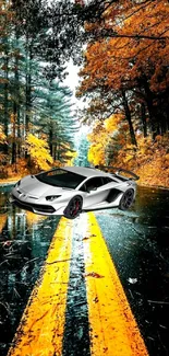 Silver sportscar on an autumn road surrounded by vibrant fall foliage.