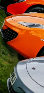 Lineup of orange and silver sports cars on grass.