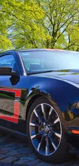 Sleek sports car on a vibrant green scenic drive.