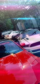 Red and white sports cars parked in urban area at sunset.