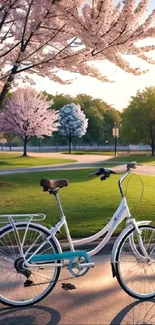 Bicycle under cherry blossoms in a spring park setting.