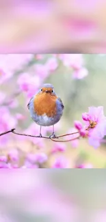 Bird on cherry blossom branch with pink blooms.