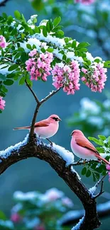 Two pink birds on snowy branch with blossoms.