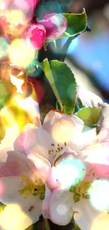 Close-up of white and pink spring blossoms on a tree branch.