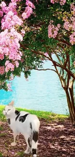 Cat relaxing under pink flowering tree by the lake.