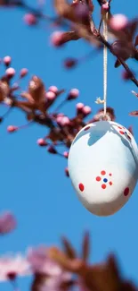 Easter egg hanging on blossoming branch against blue sky.