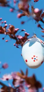 Decorated Easter egg hanging on blooming branches with blue sky.