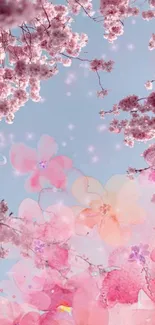 Mobile wallpaper with pink cherry blossoms against a clear sky.