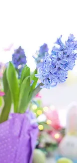 Blue hyacinth flower with vibrant colors.