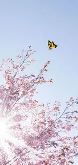 Cherry blossoms with butterfly under blue sky.