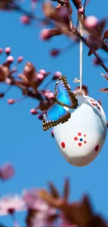 Blue butterfly on branch with Easter egg decoration.