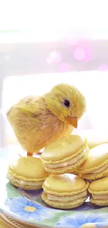 Yellow macarons with a toy duckling on a floral plate.