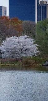 Serene lake and city skyline with spring blossoms.