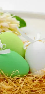 Colorful Easter eggs in a nest against a nature background.