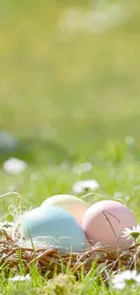 Pastel-colored eggs in a nest on green grass.