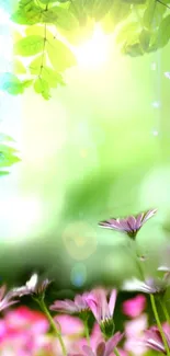 Vibrant spring wallpaper with flowers and green leaves.