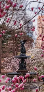 Blooming cherry blossom park with central fountain and city backdrop.