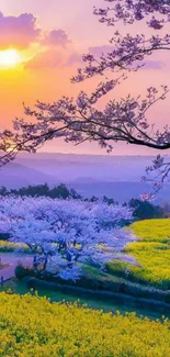 Vibrant sunset and cherry blossom landscape mobile wallpaper.