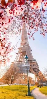 Eiffel Tower framed by lush pink cherry blossoms in springtime.