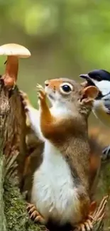 Squirrel reaching up with a bird on a log.