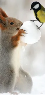 Squirrel holding snowball with bird perched, winter scene.