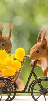 Two squirrels with dandelions and a little bike on a green background phone wallpaper.