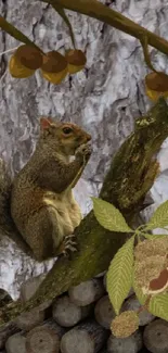 A squirrel sitting on a branch in a digital art forest scene.