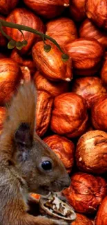 Squirrel with hazelnuts mobile wallpaper.