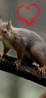 Cute squirrel perched with a red heart in the background.