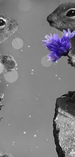 Two squirrels exchange a purple flower on a grayscale background.