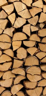 Stacked cut wood logs wallpaper for mobile.