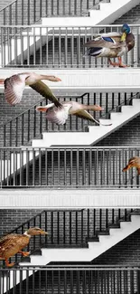 Ducks perched on a multi-level urban staircase.