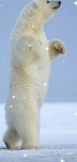 Standing polar bear in snowy Arctic landscape.