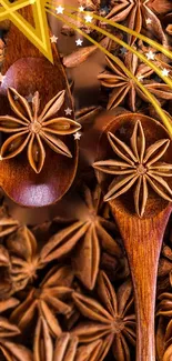 Star anise and wooden spoons mobile wallpaper.