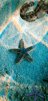 Starfish and fish on a blue ocean floor wallpaper.