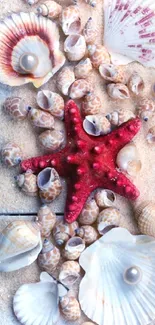 Mobile wallpaper with starfish, seashells, and pearls on beige sand.