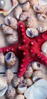 Red starfish and seashells on a sandy background wallpaper.